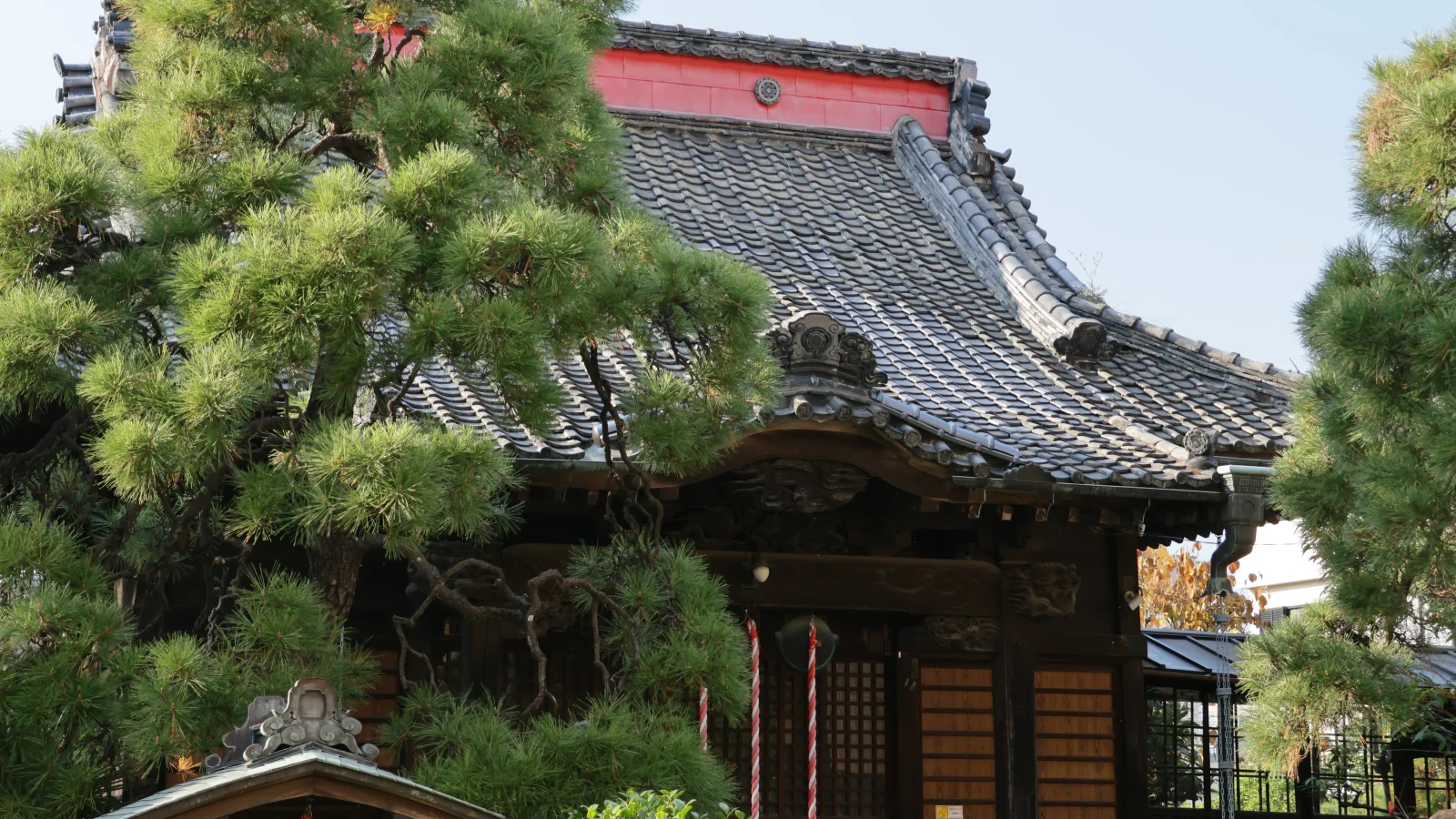 松戸永代供養墓霊園 善照寺